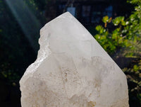 Polished XXL Pentium Quartz with Specular Hematite Inclusion x 1 From Madagascar