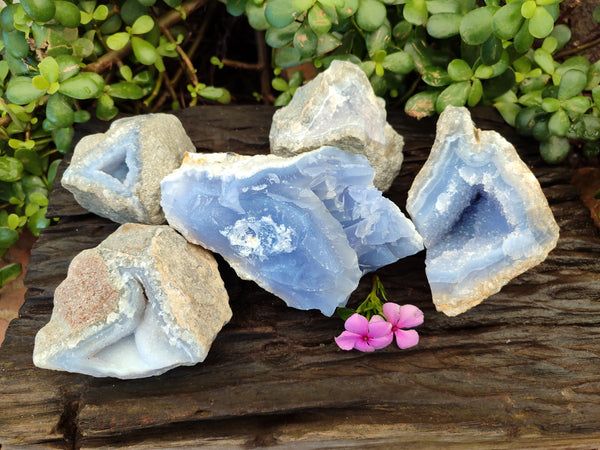 Natural Blue Lace Agate Geodes x 5 From Nsanje, Malawi