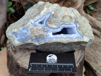 Natural Blue Lace Agate Specimens x 3 From Malawi