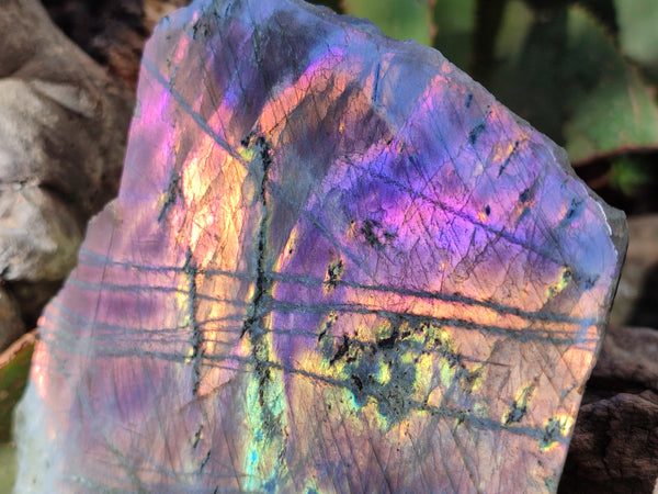 Polished On One Side Large Purple Flash Labradorite Plates x 3 From Tulear, Madagascar