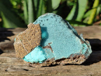 Natural Drusy Coated Chrysocolla with Malachite Specimens x 12 From Lupoto Mine, Congo