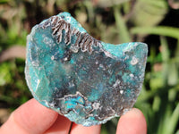 Natural Drusy Coated Chrysocolla with Malachite Specimens x 12 From Lupoto Mine, Congo