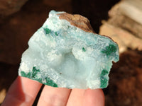 Natural Drusy Coated Chrysocolla with Malachite Specimens x 12 From Lupoto Mine, Congo