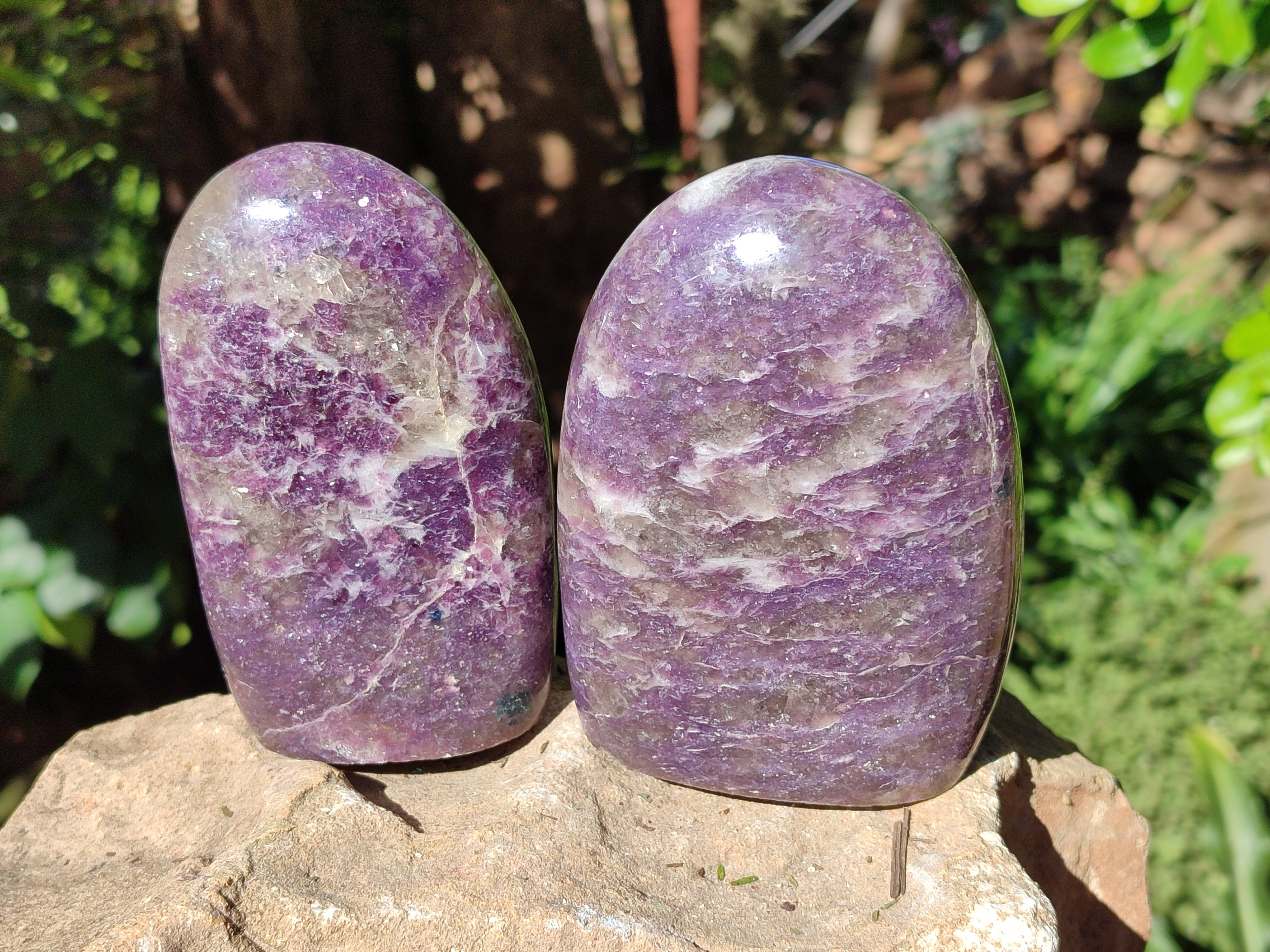 Polished Purple Lepidolite Standing Free Forms x 3 From Zimbabwe - Toprock Gemstones and Minerals 