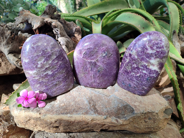 Polished Purple Lepidolite Standing Free Forms x 3 From Zimbabwe