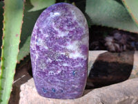 Polished Purple Lepidolite Standing Free Forms x 3 From Zimbabwe