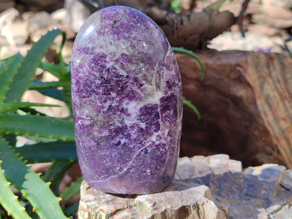 Polished Purple Lepidolite Standing Free Forms x 3 From Zimbabwe - Toprock Gemstones and Minerals 