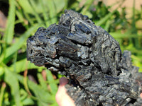 Natural Fibrous Multi Terminated Schorl Black Tourmaline Cluster x 1 From Erongo, Namibia - Toprock Gemstones and Minerals 