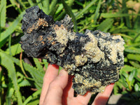 Natural Fibrous Multi Terminated Schorl Black Tourmaline Cluster x 1 From Erongo, Namibia - Toprock Gemstones and Minerals 