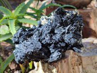 Natural Fibrous Multi Terminated Schorl Black Tourmaline Cluster x 1 From Erongo, Namibia - Toprock Gemstones and Minerals 