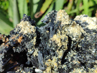 Natural Fibrous Multi Terminated Schorl Black Tourmaline Cluster x 1 From Erongo, Namibia - Toprock Gemstones and Minerals 
