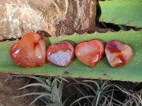 Polished Small Carnelian Agate Gemstone Hearts x 20 From Madagascar