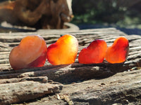 Polished Small Carnelian Agate Gemstone Hearts x 20 From Madagascar