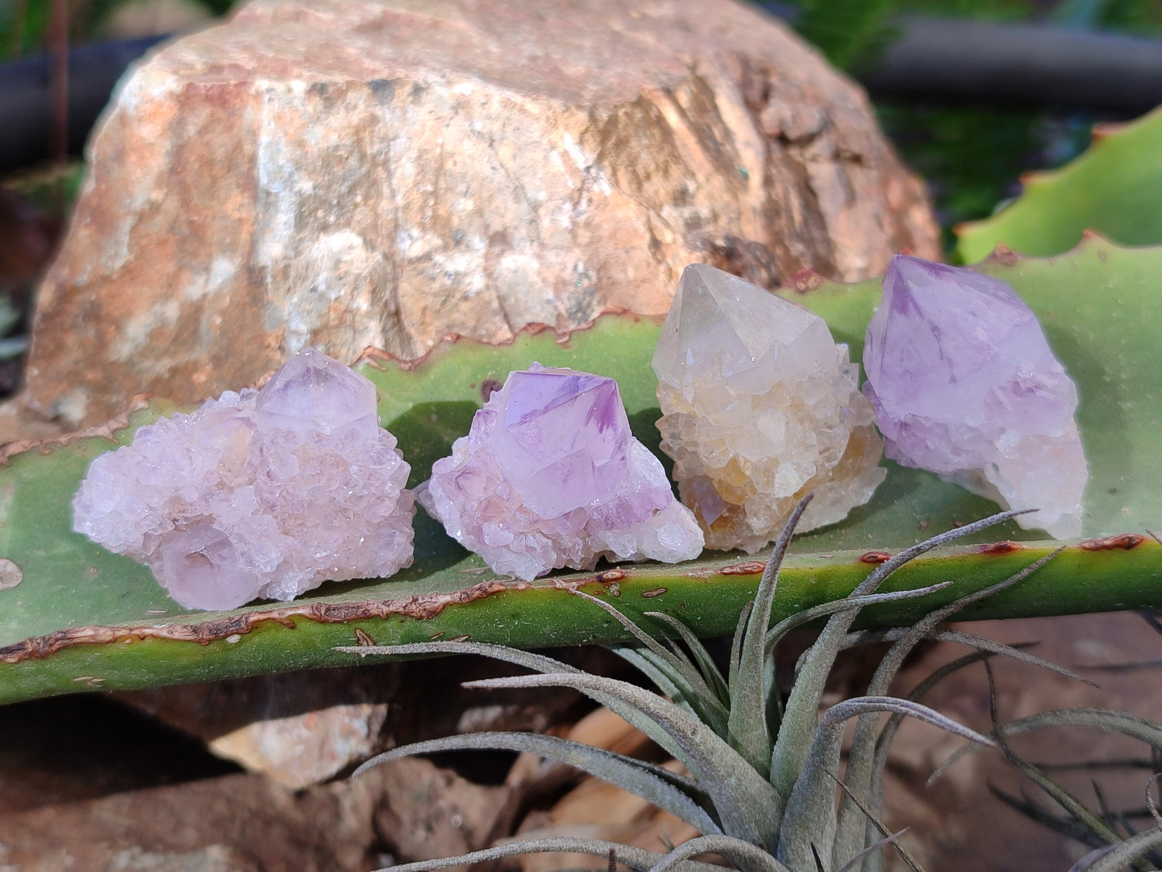 Natural Mixed Spirit Quartz Crystals x 35 From South Africa - Toprock Gemstones and Minerals 