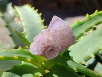 Natural Mixed Spirit Quartz Crystals x 35 From South Africa