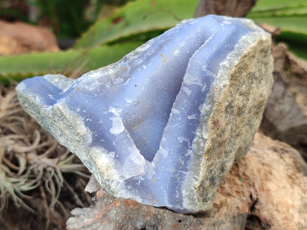 Natural Blue Lace Agate Geodes x 6 From Nsanje, Malawi - Toprock Gemstones and Minerals 