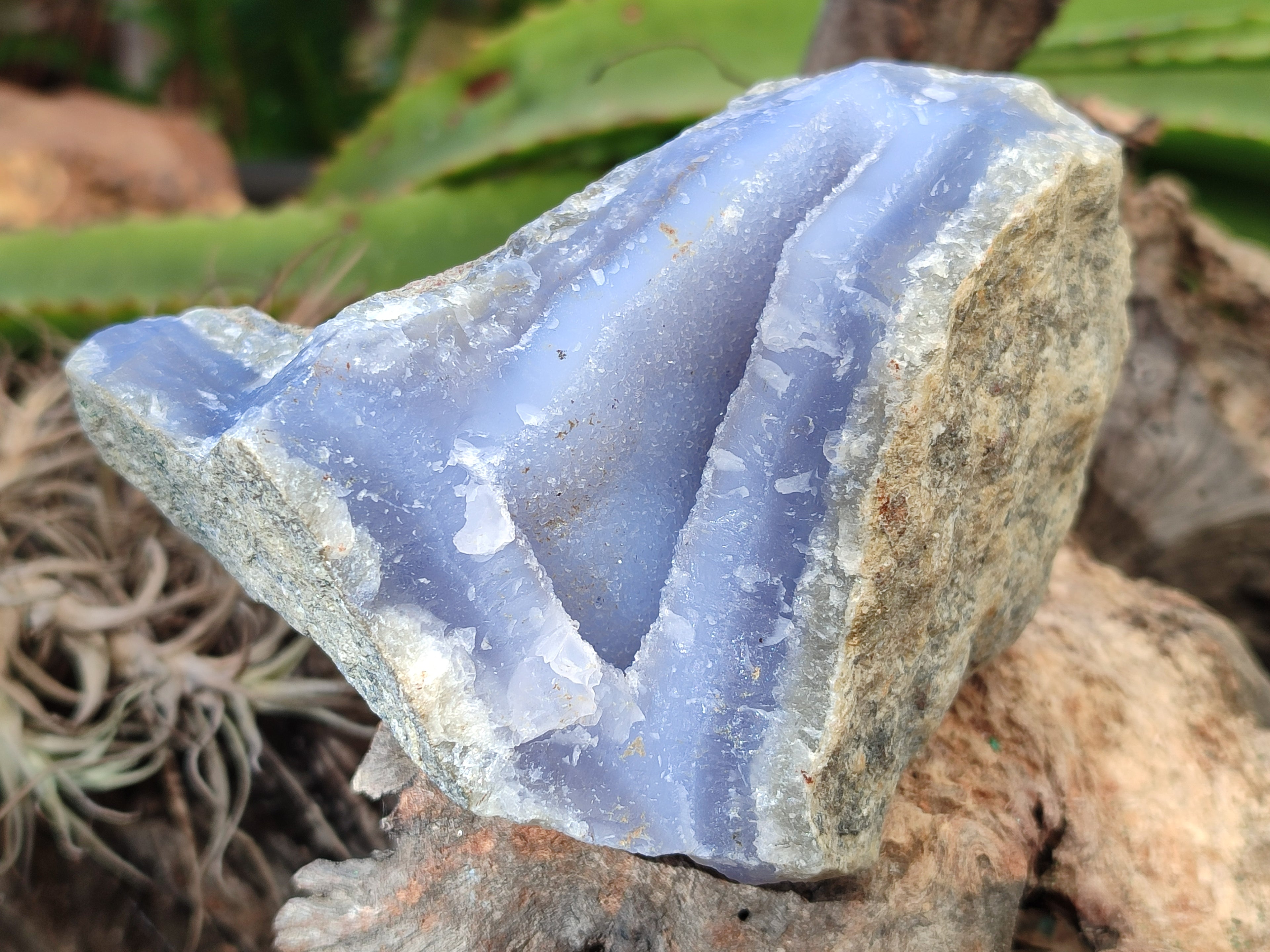 Natural Blue Lace Agate Geodes x 6 From Nsanje, Malawi - Toprock Gemstones and Minerals 