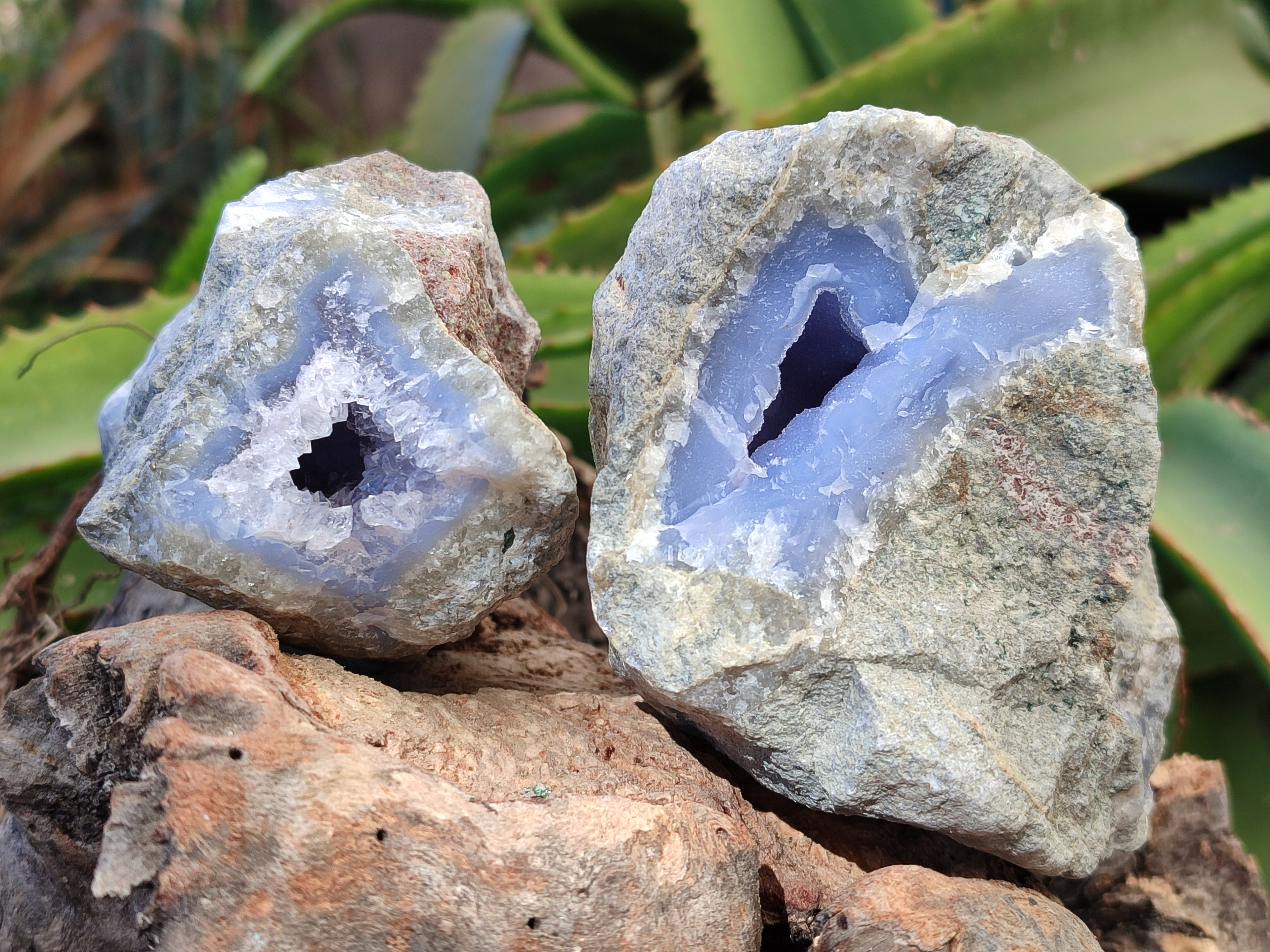 Natural Blue Lace Agate Geodes x 6 From Nsanje, Malawi - Toprock Gemstones and Minerals 