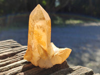 Natural Quartz Clusters with Limonite Inclusions x 12 From Madagascar