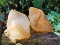 Natural Quartz Clusters with Limonite Inclusions x 12 From Madagascar