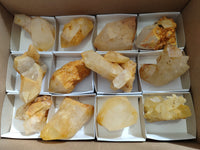 Natural Quartz Clusters with Limonite Inclusions x 12 From Madagascar