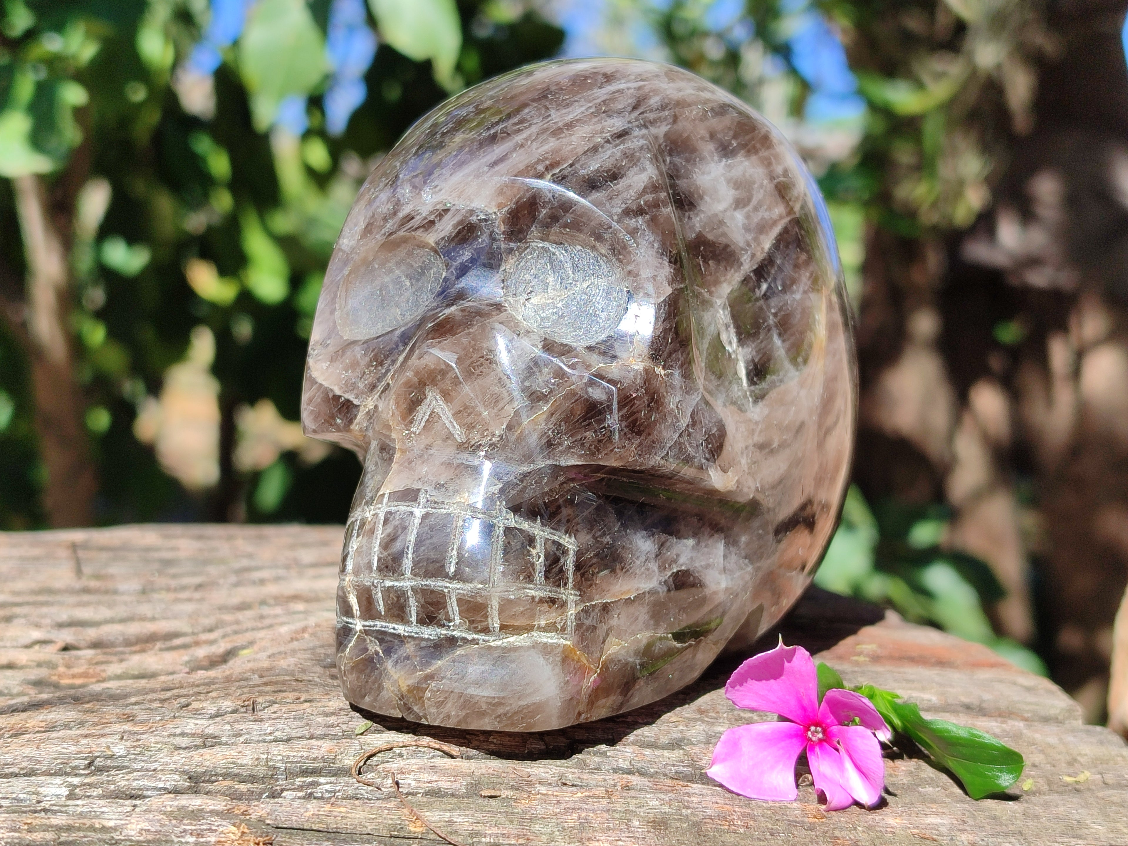 Polished Smokey Quartz Skull x 1 From Madagascar - Toprock Gemstones and Minerals 