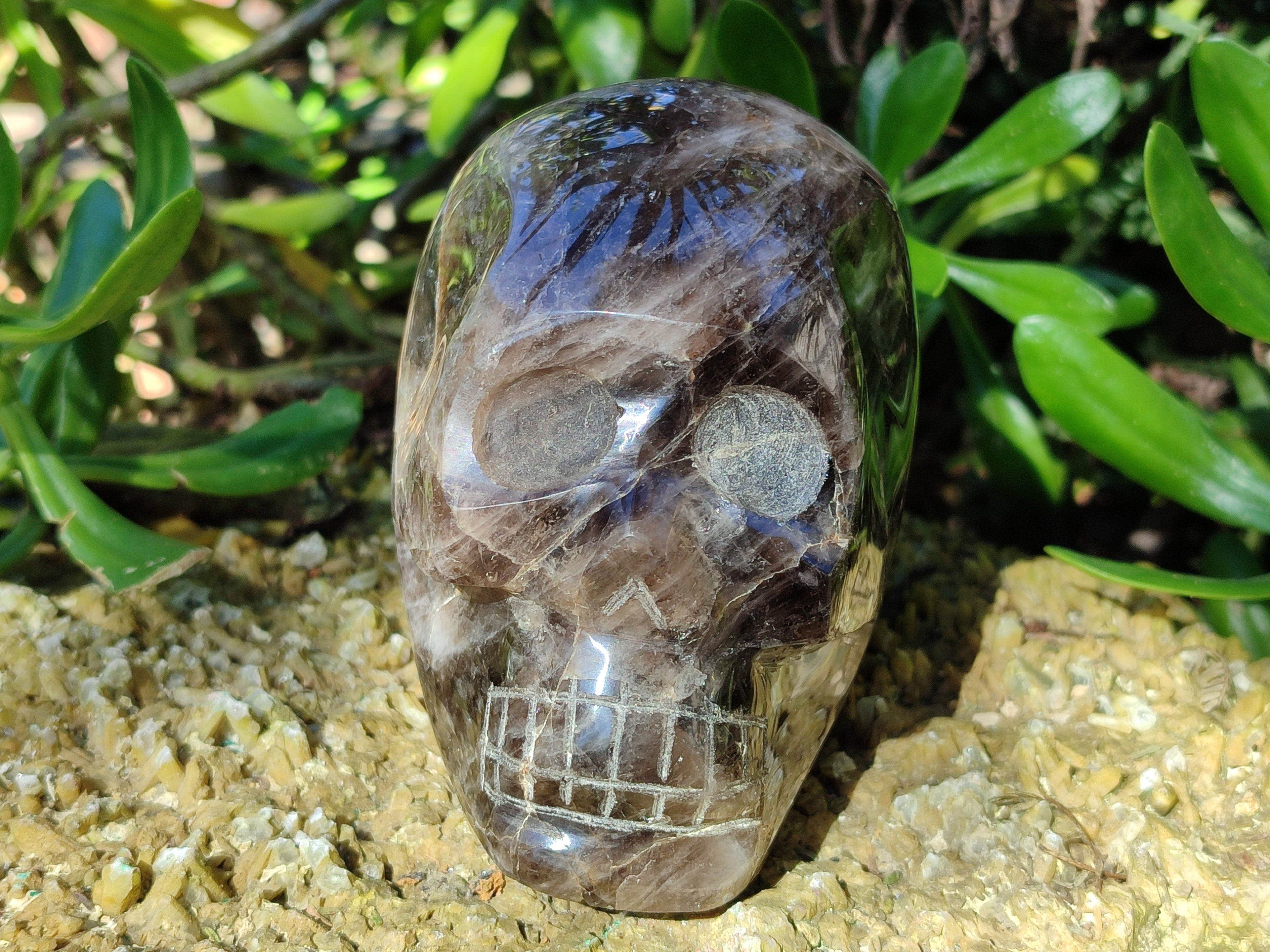 Polished Smokey Quartz Skull x 1 From Madagascar - Toprock Gemstones and Minerals 