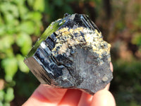 Natural Schorl Black Tourmaline Specimens x 6 From Erongo, Namibia
