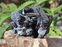 Natural Schorl Black Tourmaline Specimens x 6 From Erongo, Namibia