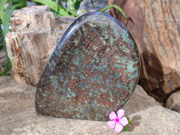 Polished Eclogite Standing Free Forms x 1 From Northern Cape, South Africa