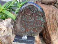 Polished Eclogite Standing Free Forms x 1 From Northern Cape, South Africa