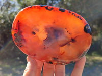 Polished Carnelian Bowls x 2 From Madagascar