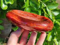 Polished Carnelian Bowls x 2 From Madagascar