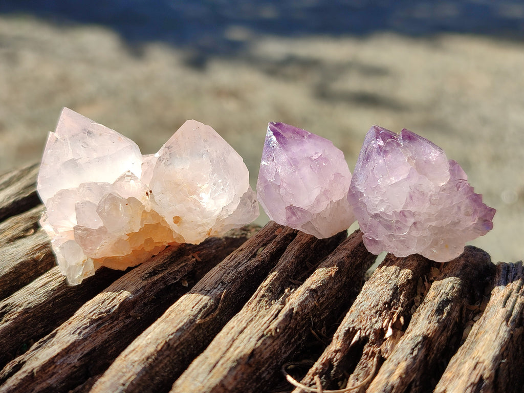 Natural Mixed Cactus Spirit Quartz Crystals x 52 From South Africa - Toprock Gemstones and Minerals 