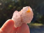 Natural Mixed Cactus Spirit Quartz Crystals x 52 From South Africa - Toprock Gemstones and Minerals 