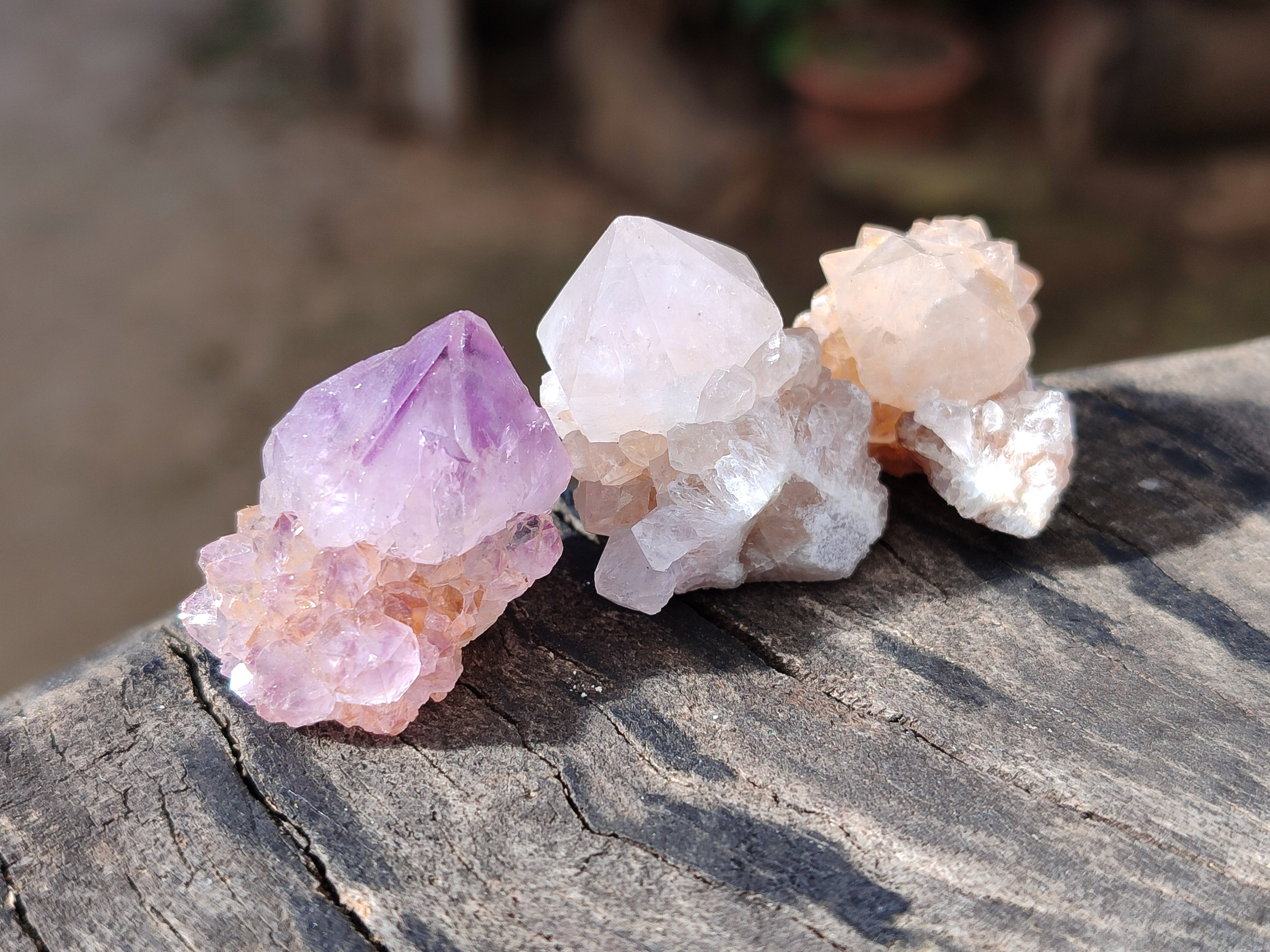 Natural Mixed Cactus Spirit Quartz Crystals x 52 From South Africa - Toprock Gemstones and Minerals 