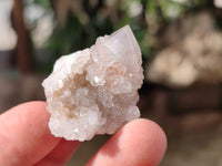 Natural Mixed Cactus Spirit Quartz Crystals x 52 From South Africa - Toprock Gemstones and Minerals 