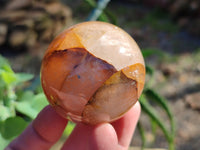 Polished Golden Healer Spheres x 6 From Madagascar