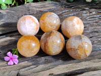 Polished Golden Healer Spheres x 6 From Madagascar