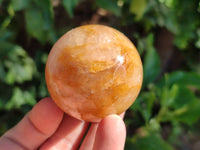 Polished Golden Healer Spheres x 6 From Madagascar