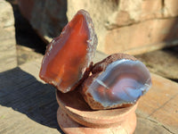 Polished On One Side Red Sashe River Agate Nodules x 20 From Zimbabwe - Toprock Gemstones and Minerals 