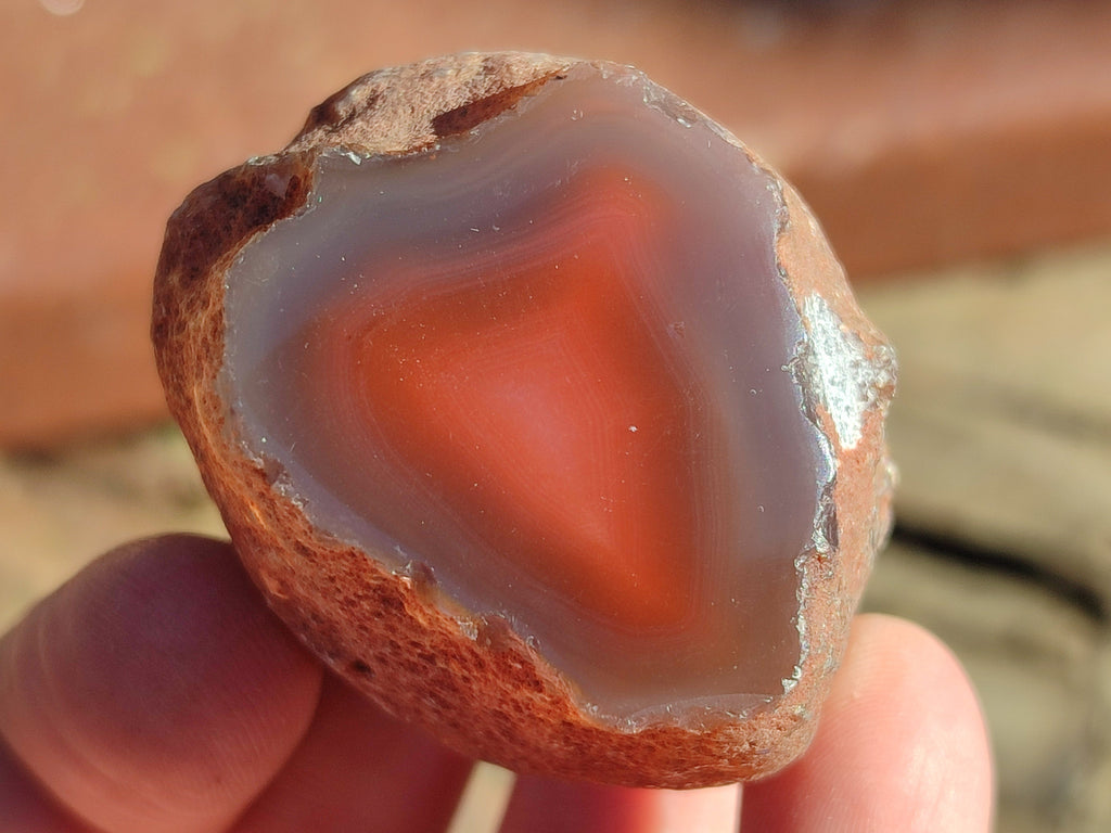 Polished On One Side Red Sashe River Agate Nodules x 20 From Zimbabwe - Toprock Gemstones and Minerals 