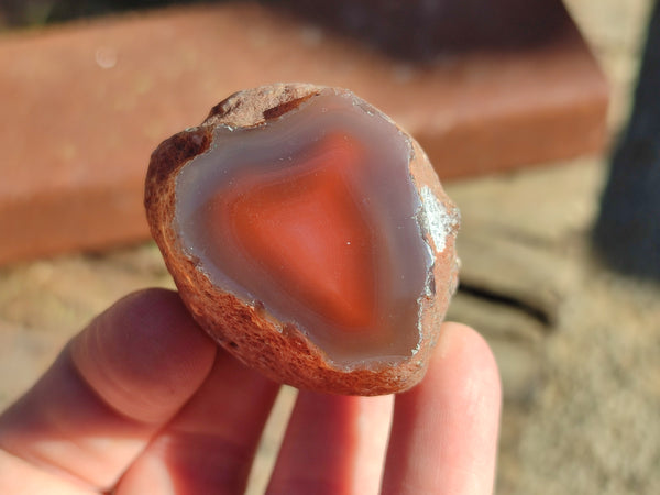 Polished On One Side Red Sashe River Agate Nodules x 20 From Zimbabwe
