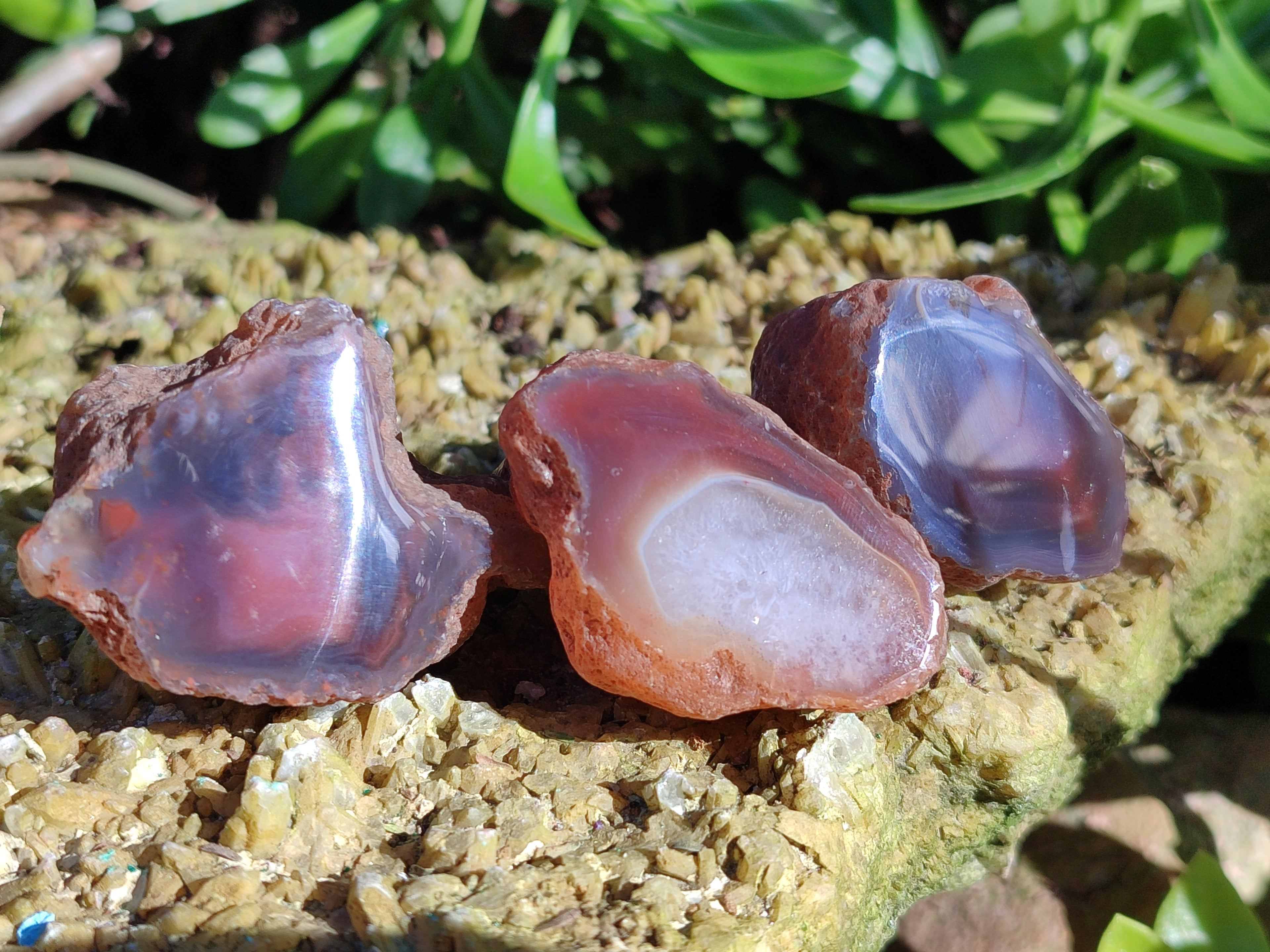 Polished On One Side Red Sashe River Agate Nodules x 20 From Zimbabwe - Toprock Gemstones and Minerals 