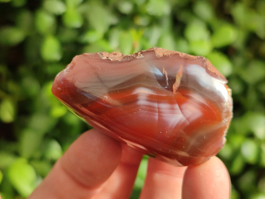 Polished On One Side Red Sashe River Agate Nodules x 20 From Zimbabwe - Toprock Gemstones and Minerals 