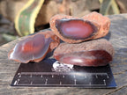 Polished On One Side Red Sashe River Agate Nodules x 20 From Zimbabwe - Toprock Gemstones and Minerals 