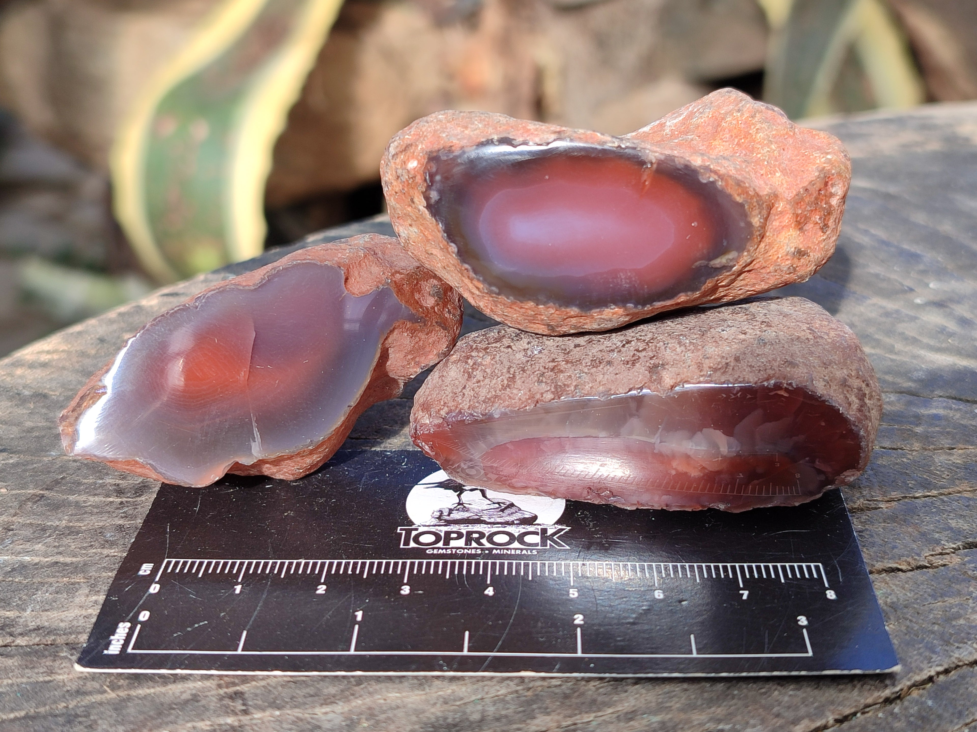 Polished On One Side Red Sashe River Agate Nodules x 20 From Zimbabwe - Toprock Gemstones and Minerals 