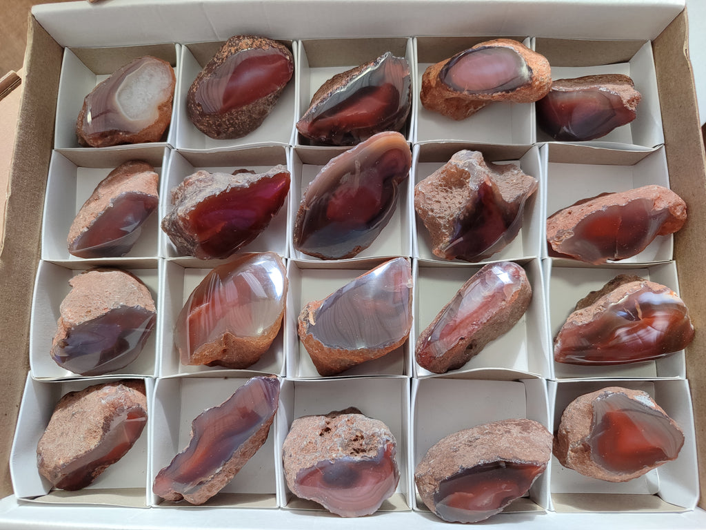 Polished On One Side Red Sashe River Agate Nodules x 20 From Zimbabwe - Toprock Gemstones and Minerals 