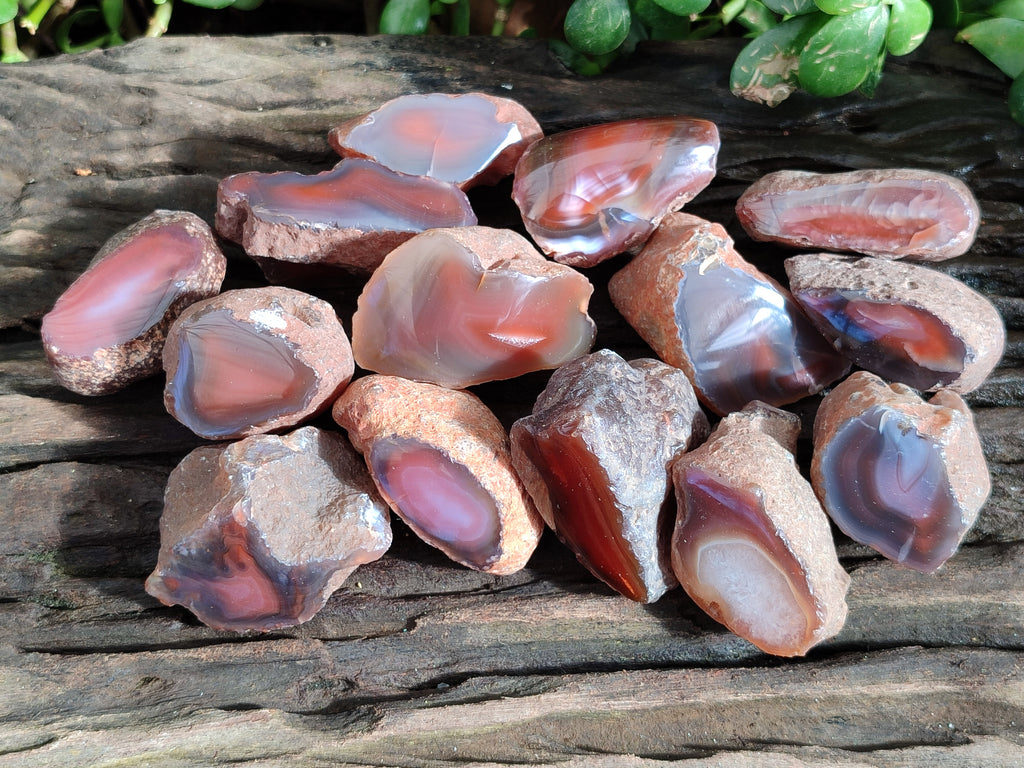 Polished On One Side Red Sashe River Agate Nodules x 20 From Zimbabwe - Toprock Gemstones and Minerals 