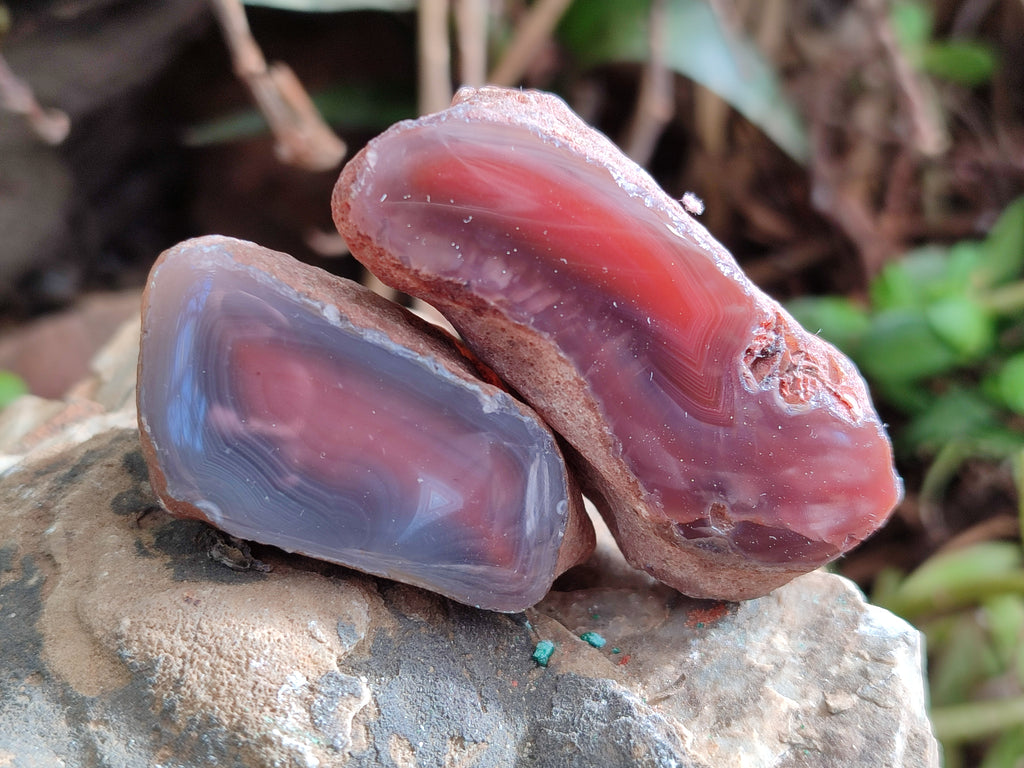 Polished On One Side Red Sashe River Agate Nodules x 20 From Zimbabwe - Toprock Gemstones and Minerals 